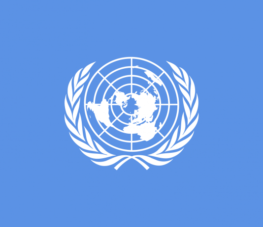 FN jobbar for fred i verda, og 24. oktober markerar ein FN-dagen.