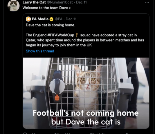 Tweet der katten Larry ynskjer katten Dave velkomen.