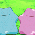 1479973207-ditto-transform